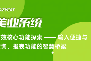 美业系统：高效核心功能探索 —— 输入便捷与查询、报表功能的智慧桥梁