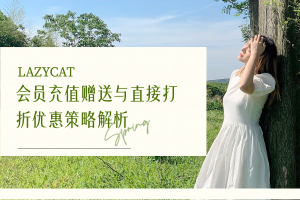 会员充值赠送与直接打折优惠策略解析